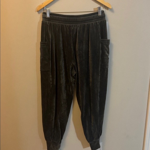 Offline By Aerie After Party Velour Joggers - Picture 6 of 8